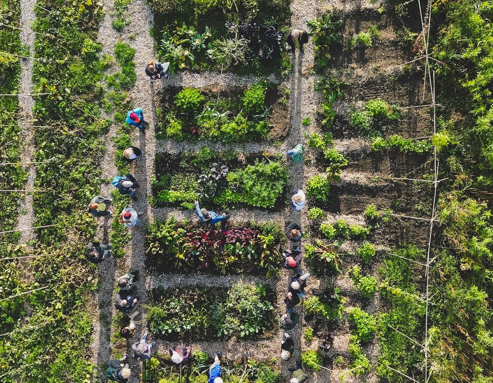 Castrop-Rauxel, Allmende-Nutz- und Naturgarten am Hof Emscher-Auen