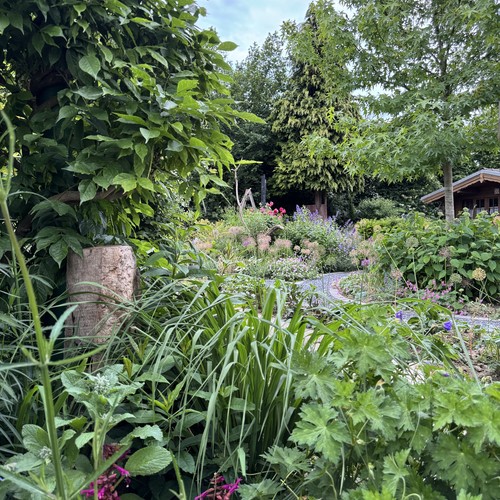 Vielfaltsgarten für Mensch und Tier