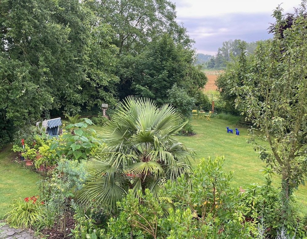 BiKis Schätze der Natur