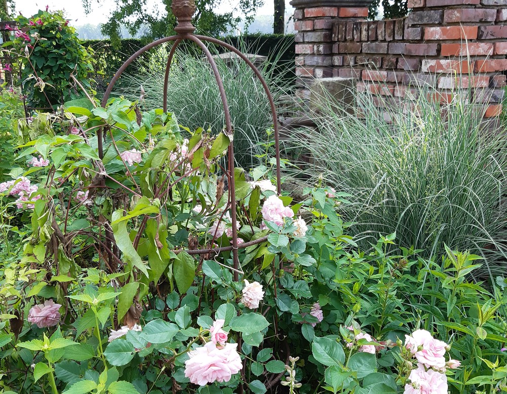 Vreden, Garten Kisfeld