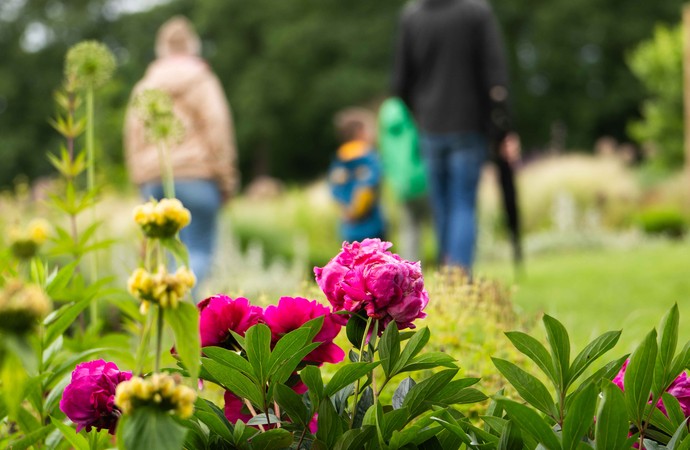 Stemwede_LenasStaudengarten