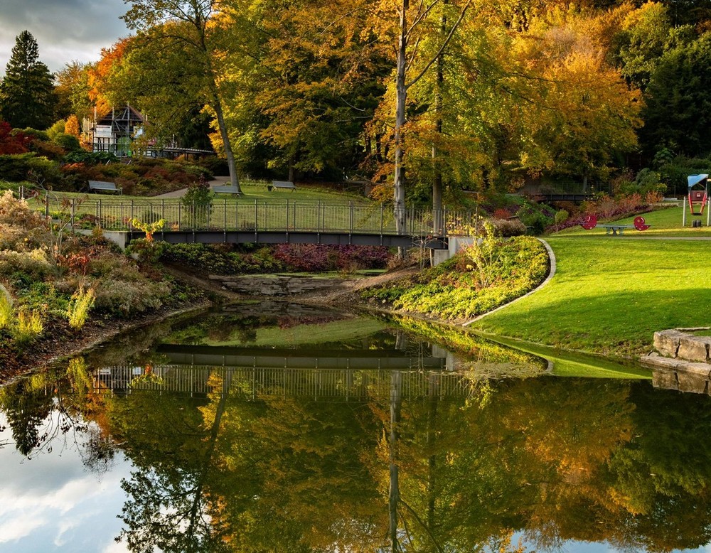 Botanischen Garten Bielefeld, Baum spiegelt sich in Wasser