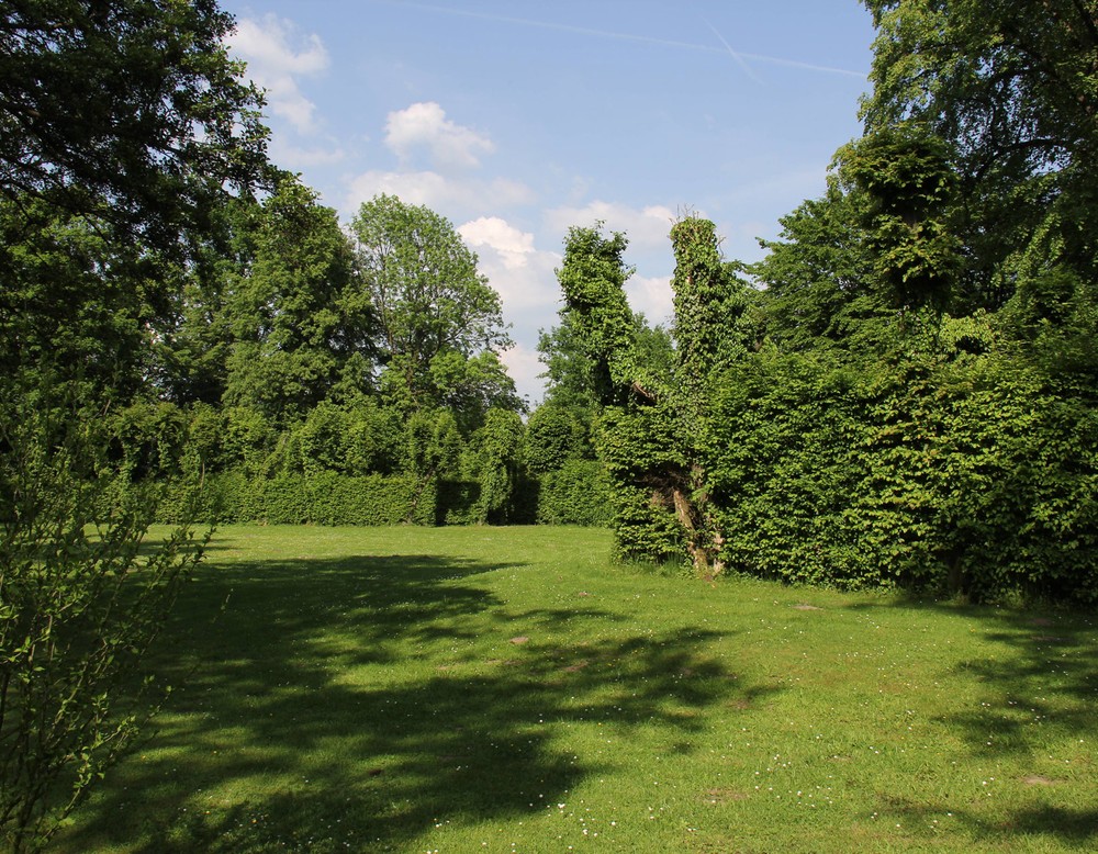 Eine Wiese in der Parkanlage des Schlosses. An die Wiese grenzen Hecken und Büsche.