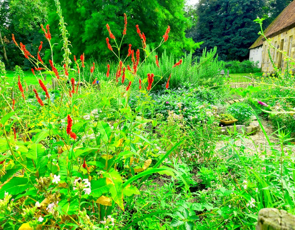 Klostergarten am Kloster Bentlage