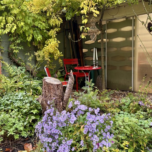 Dortmund: Ein Zechenhausgarten wird zum Naturgarten