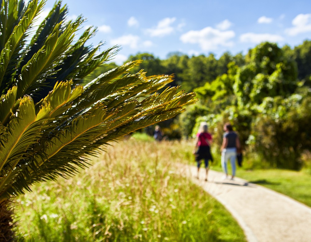 Botanischen Garten Münster