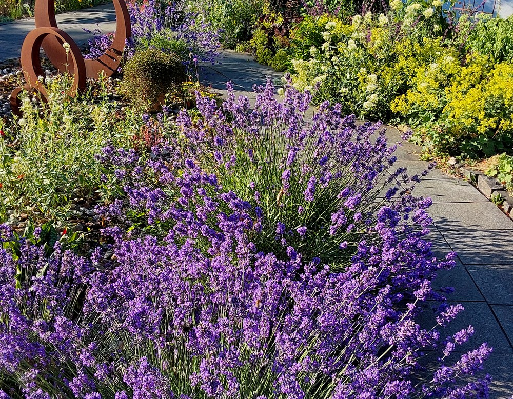 Paderborn, Garten Nowack