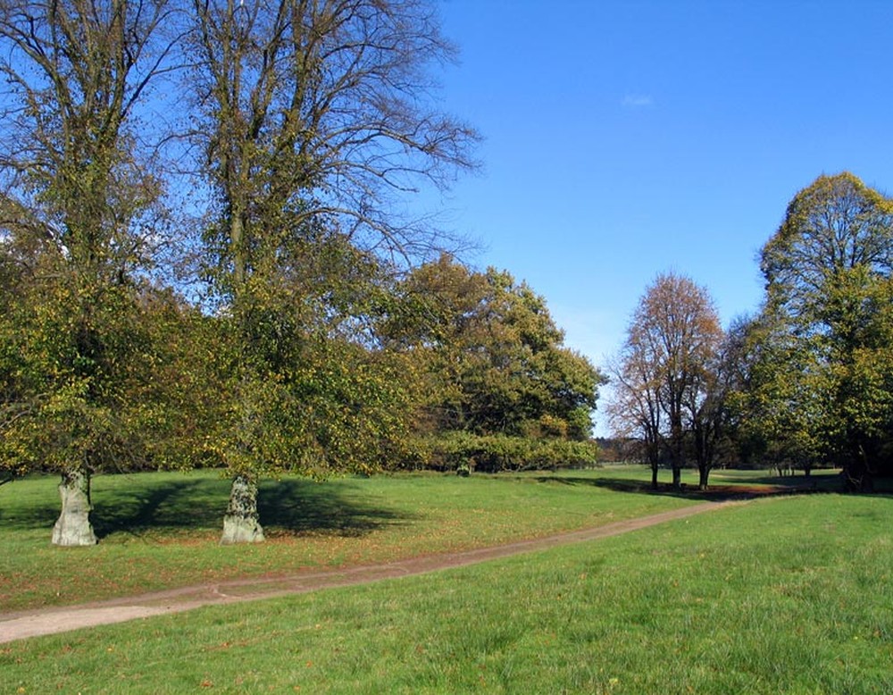 Ein Weg schlängelt sich durch den Wildpark Dülmen.