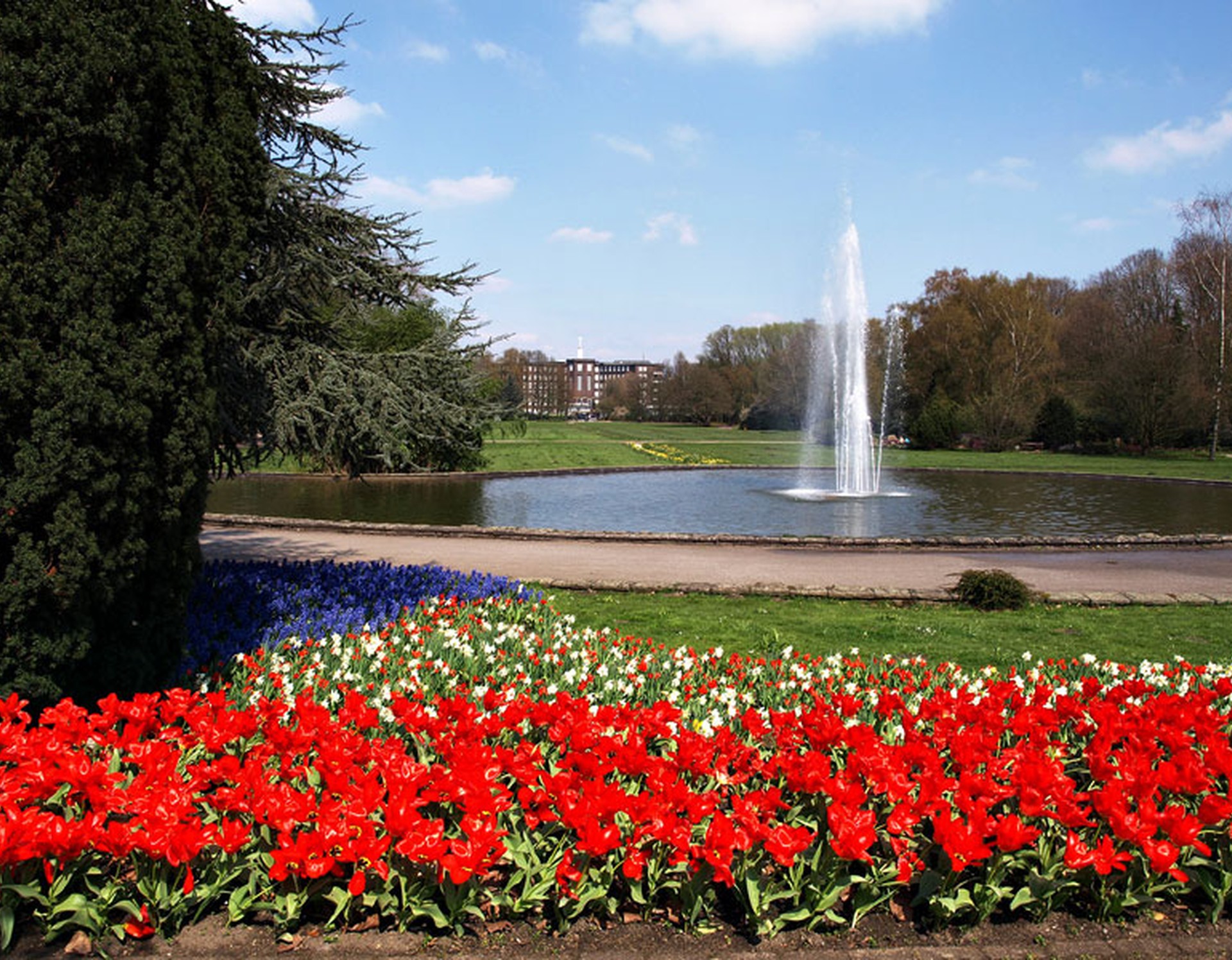 Springbrunnen im Stadtpark Bottrop. Zahlreiche Tulpen zieren die Blumenbeete am Wegesrand.