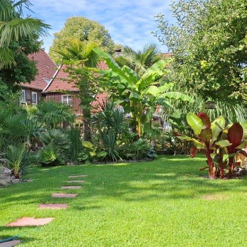 Hamm: Palmengarten
