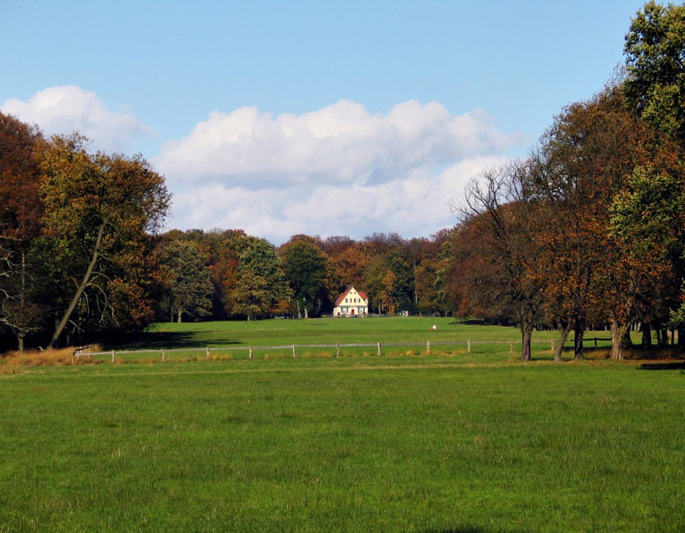 Eine Wiese im Wildpark Dülmen. An ihrem Ende steht ein Haus am Waldrand.