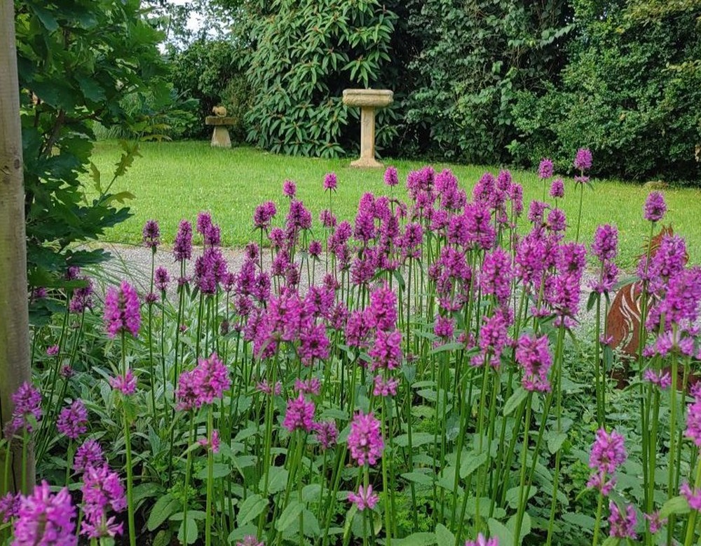 Billerbeck, Das Gartenhaus