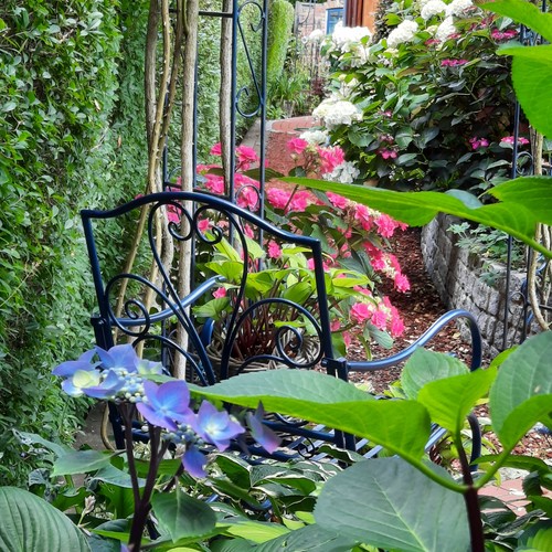 Cottage Garten