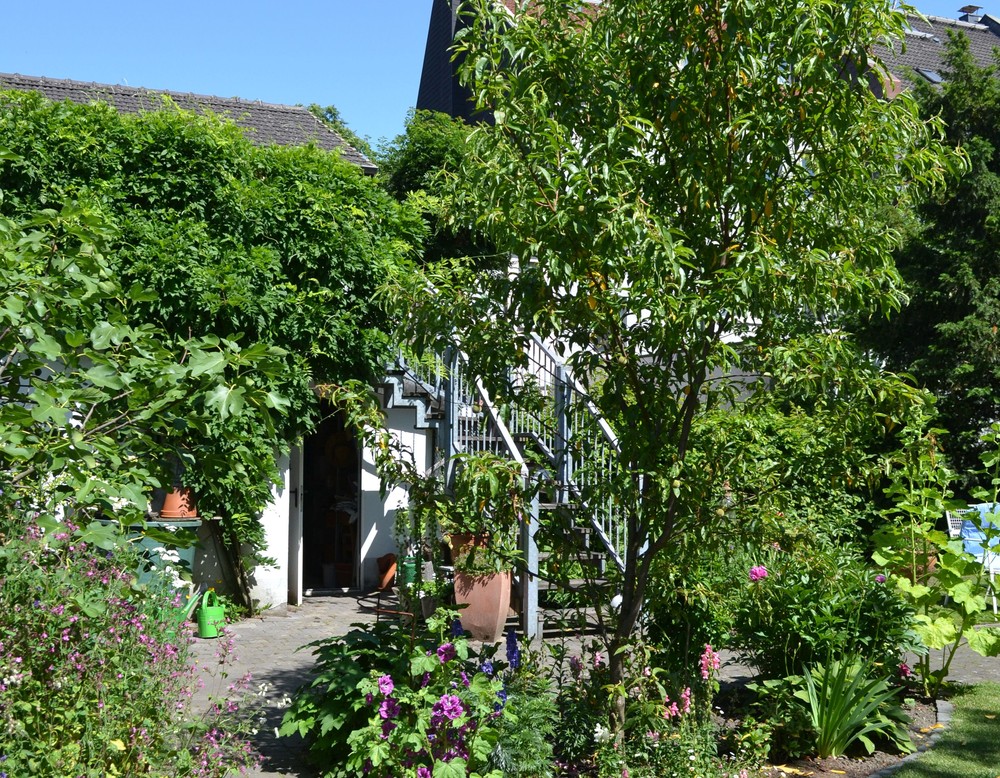 Duisburg: Großmutters Garten