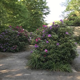 Papiermühle Berlebeck