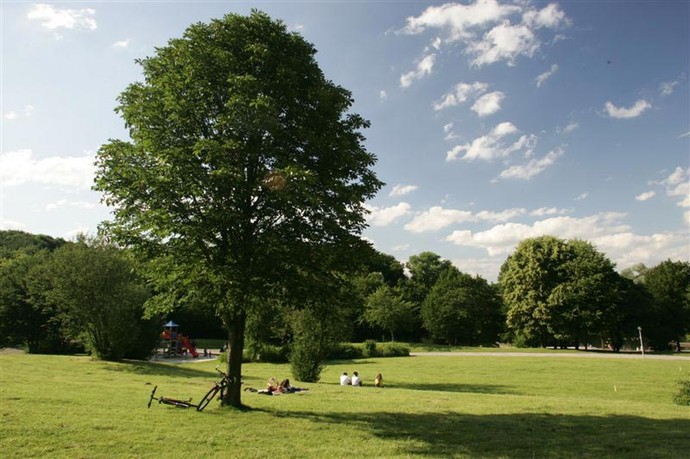 Menschen entspannen auf einer Wiese mit einem Baum im Revierpark Wischlingen.