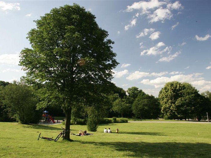 Menschen entspannen auf einer Wiese mit einem Baum im Revierpark Wischlingen.